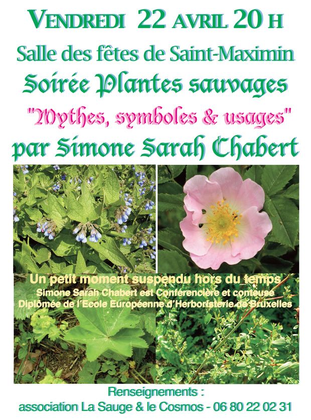 Soirée Plantes Sauvages à Saint Maximin (38)