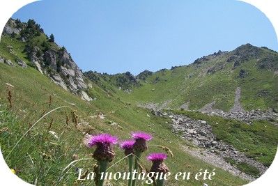 La montagne en été Au Vieux Four à Pain. Votre hébergement de vacances à Allevard.